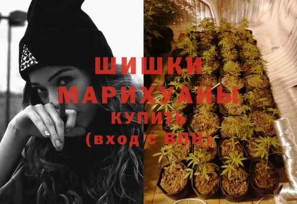 дурь Нея