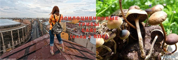 дурь Нея