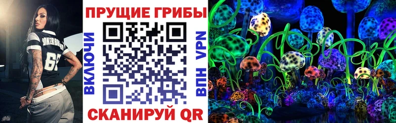 купить закладку  Приволжск  Галлюциногенные грибы ЛСД 